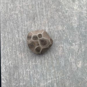 Petoskey stone